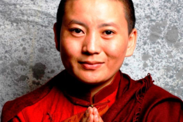 Ani Choying Drolma, May my Heart always be Pure at IIS 2014