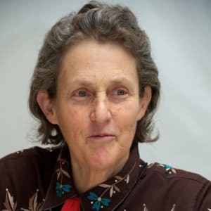 TEMPLE GRANDIN